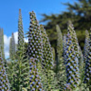 Meet your Posher, Lisanne